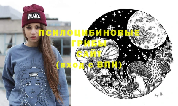 шишки Армянск