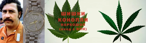 СК Аркадак