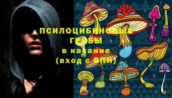 гидра Липки