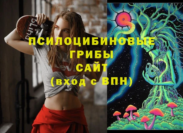 шишки Армянск