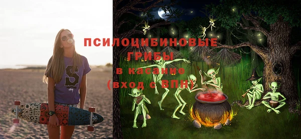СК Аркадак
