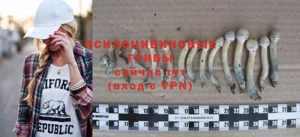 шишки Армянск
