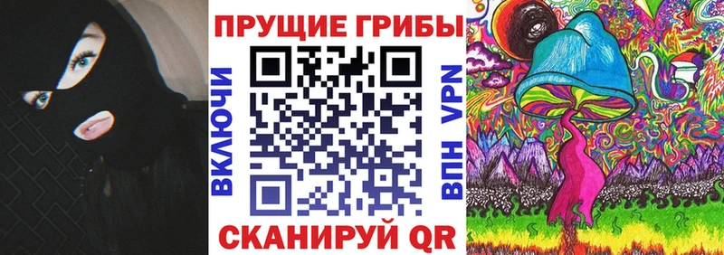Псилоцибиновые грибы Psilocybine cubensis  Саяногорск 